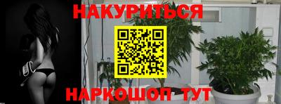 стафф Бийск