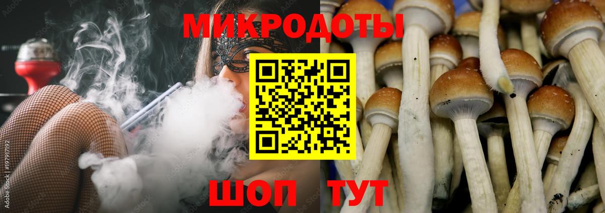 где купить наркотик  Вход с VPN  Кисловодск  Галлюциногенные грибы ЛСД 