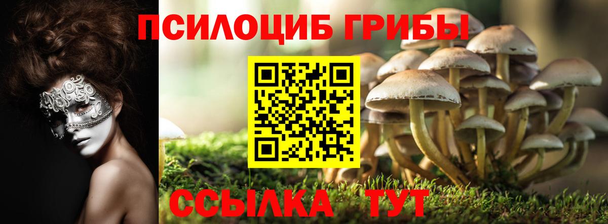 Галлюциногенные грибы Cubensis Кисловодск